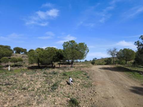 TERRENO COM 76.620 M2 - COM POSSIBILIDADE DE CONSTRUÇÃO - MORADIA E OU TURISMO - COM ÁRVORES - PRÓXMO A FOZ DE ODELEITE - CASTRO MARIM - ALGARVE