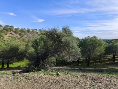 TERRENO COM 76.620 M2 - COM POSSIBILIDADE DE CONSTRUÇÃO - MORADIA E OU TURISMO - COM ÁRVORES - PRÓXMO A FOZ DE ODELEITE - CASTRO MARIM - ALGARVE