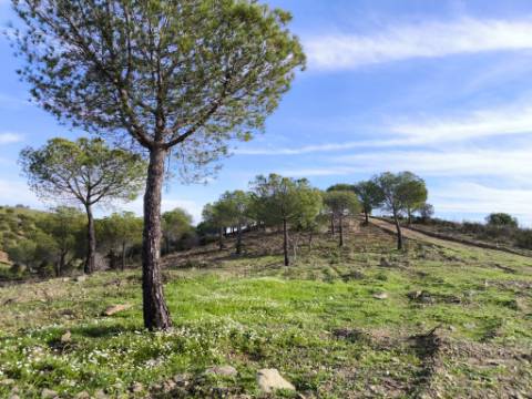 TERRENO COM 76.620 M2 - COM POSSIBILIDADE DE CONSTRUÇÃO - MORADIA E OU TURISMO - COM ÁRVORES - PRÓXMO A FOZ DE ODELEITE - CASTRO MARIM - ALGARVE