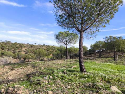 TERRENO COM 76.620 M2 - COM POSSIBILIDADE DE CONSTRUÇÃO - MORADIA E OU TURISMO - COM ÁRVORES - PRÓXMO A FOZ DE ODELEITE - CASTRO MARIM - ALGARVE