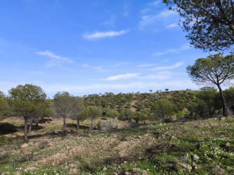 TERRENO COM 76.620 M2 - COM POSSIBILIDADE DE CONSTRUÇÃO - MORADIA E OU TURISMO - COM ÁRVORES - PRÓXMO A FOZ DE ODELEITE - CASTRO MARIM - ALGARVE