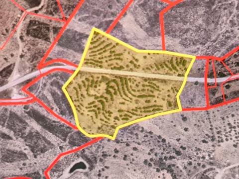 TERRENO RUSTICO COM 23.320 M2 - COM MUITAS ÁRVORES - ACESSO POR ASFALTO - PRÓXIMO A CORTE VELHA - ODELEITE - CASTRO MARIM - ALGARVE