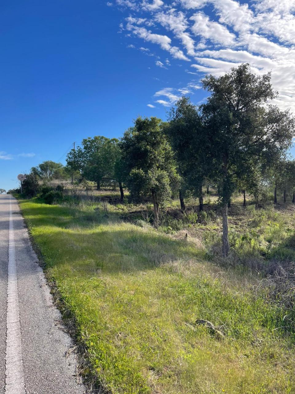 TERRENO RUSTICO COM 23.320 M2 - COM MUITAS ÁRVORES - ACESSO POR ASFALTO - PRÓXIMO A CORTE VELHA - ODELEITE - CASTRO MARIM - ALGARVE