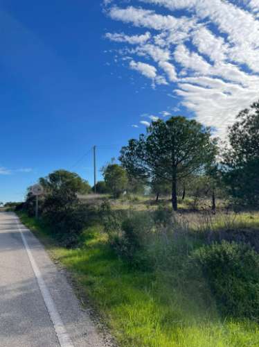 TERRENO RUSTICO COM 23.320 M2 - COM MUITAS ÁRVORES - ACESSO POR ASFALTO - PRÓXIMO A CORTE VELHA - ODELEITE - CASTRO MARIM - ALGARVE