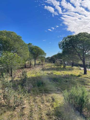 TERRENO RUSTICO COM 23.320 M2 - COM MUITAS ÁRVORES - ACESSO POR ASFALTO - PRÓXIMO A CORTE VELHA - ODELEITE - CASTRO MARIM - ALGARVE