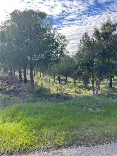 TERRENO RUSTICO COM 23.320 M2 - COM MUITAS ÁRVORES - ACESSO POR ASFALTO - PRÓXIMO A CORTE VELHA - ODELEITE - CASTRO MARIM - ALGARVE