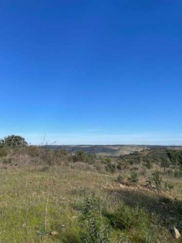 TERRENO RUSTICO COM 23.320 M2 - COM MUITAS ÁRVORES - ACESSO POR ASFALTO - PRÓXIMO A CORTE VELHA - ODELEITE - CASTRO MARIM - ALGARVE