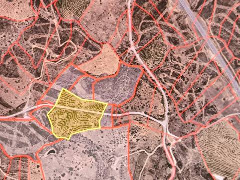 TERRENO RUSTICO COM 23.320 M2 - COM MUITAS ÁRVORES - ACESSO POR ASFALTO - PRÓXIMO A CORTE VELHA - ODELEITE - CASTRO MARIM - ALGARVE