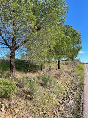 TERRENO RUSTICO COM 23.320 M2 - COM MUITAS ÁRVORES - ACESSO POR ASFALTO - PRÓXIMO A CORTE VELHA - ODELEITE - CASTRO MARIM - ALGARVE