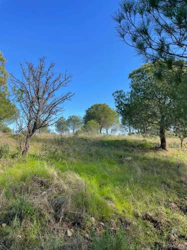 TERRENO RUSTICO COM 23.320 M2 - COM MUITAS ÁRVORES - ACESSO POR ASFALTO - PRÓXIMO A CORTE VELHA - ODELEITE - CASTRO MARIM - ALGARVE