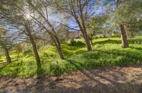Duplex de Charme em Mosteiro Histórico com Terraço e Vista para o Castelo