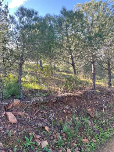 TERRENO COM 59.680 M² - COM POSSIBILIDADE DE CONSTRUÇÃO - HABITAÇÃO E/OU TURISMO - PRÓXIMO A CORTE VELHA - ODELEITE - CASTRO MARIM - ALGARVE