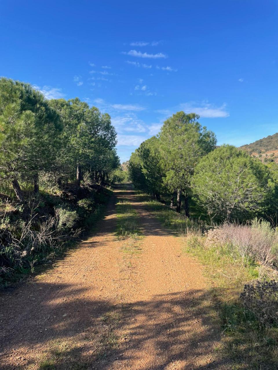 TERRENO COM 59.680 M² - COM POSSIBILIDADE DE CONSTRUÇÃO - HABITAÇÃO E/OU TURISMO - PRÓXIMO A CORTE VELHA - ODELEITE - CASTRO MARIM - ALGARVE