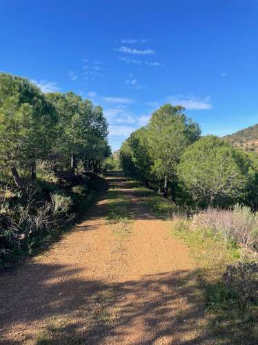 TERRENO COM 59.680 M² - COM POSSIBILIDADE DE CONSTRUÇÃO - HABITAÇÃO E/OU TURISMO - PRÓXIMO A CORTE VELHA - ODELEITE - CASTRO MARIM - ALGARVE