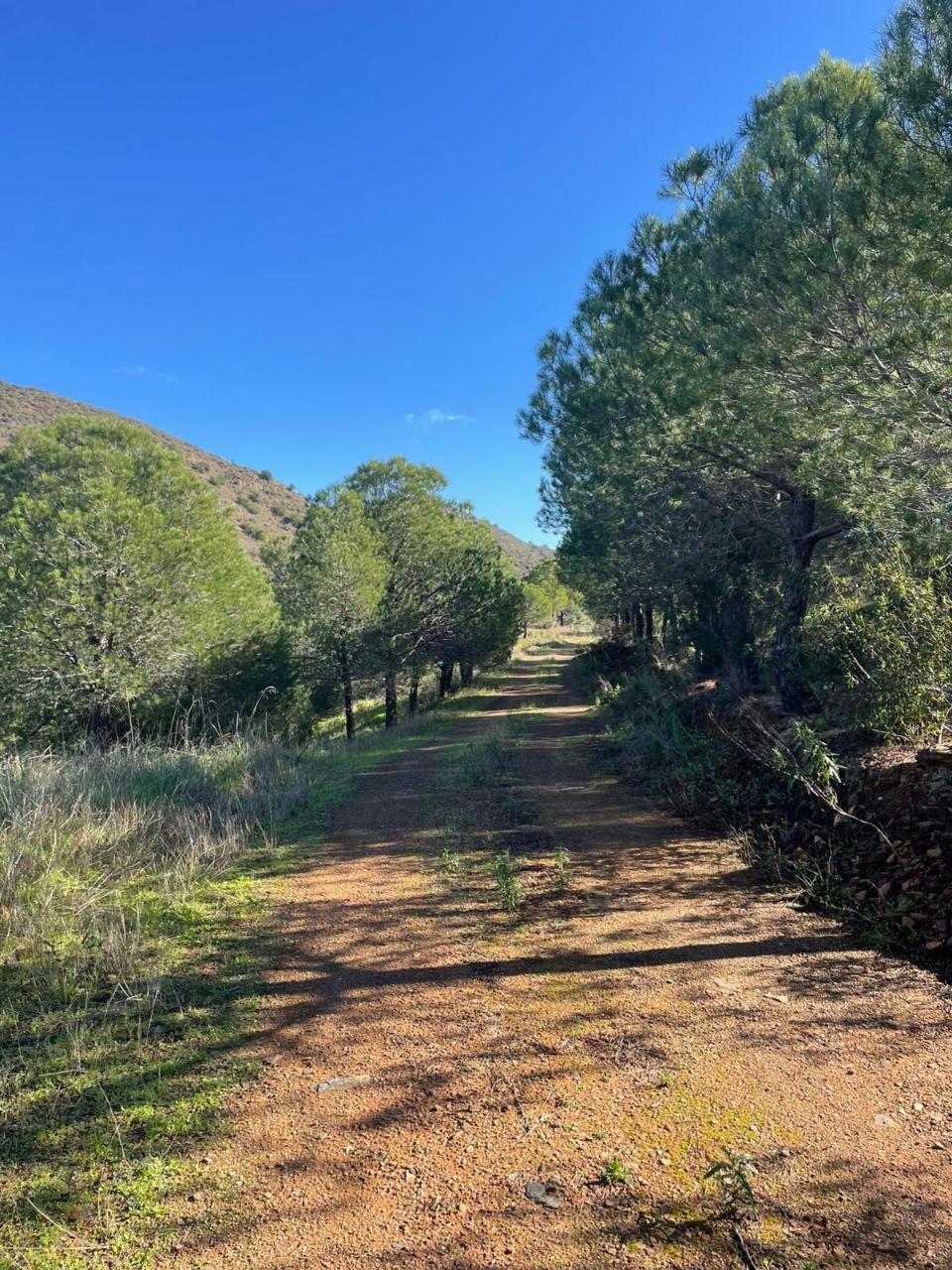 TERRENO COM 59.680 M² - COM POSSIBILIDADE DE CONSTRUÇÃO - HABITAÇÃO E/OU TURISMO - PRÓXIMO A CORTE VELHA - ODELEITE - CASTRO MARIM - ALGARVE