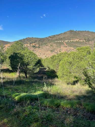 TERRENO COM 59.680 M² - COM POSSIBILIDADE DE CONSTRUÇÃO - HABITAÇÃO E/OU TURISMO - PRÓXIMO A CORTE VELHA - ODELEITE - CASTRO MARIM - ALGARVE