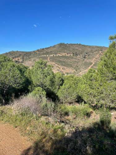 TERRENO COM 59.680 M² - COM POSSIBILIDADE DE CONSTRUÇÃO - HABITAÇÃO E/OU TURISMO - PRÓXIMO A CORTE VELHA - ODELEITE - CASTRO MARIM - ALGARVE