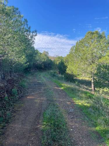 TERRENO COM 59.680 M² - COM POSSIBILIDADE DE CONSTRUÇÃO - HABITAÇÃO E/OU TURISMO - PRÓXIMO A CORTE VELHA - ODELEITE - CASTRO MARIM - ALGARVE