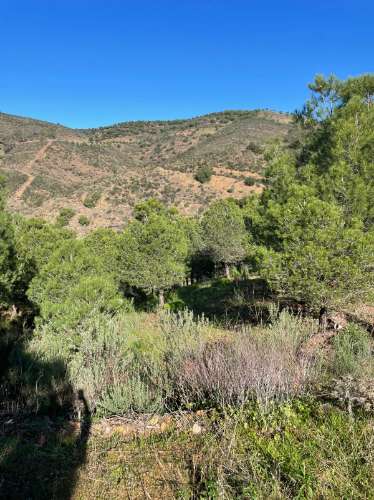 TERRENO COM 59.680 M² - COM POSSIBILIDADE DE CONSTRUÇÃO - HABITAÇÃO E/OU TURISMO - PRÓXIMO A CORTE VELHA - ODELEITE - CASTRO MARIM - ALGARVE