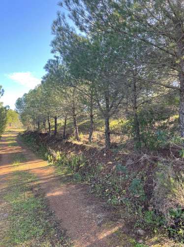 TERRENO COM 59.680 M² - COM POSSIBILIDADE DE CONSTRUÇÃO - HABITAÇÃO E/OU TURISMO - PRÓXIMO A CORTE VELHA - ODELEITE - CASTRO MARIM - ALGARVE