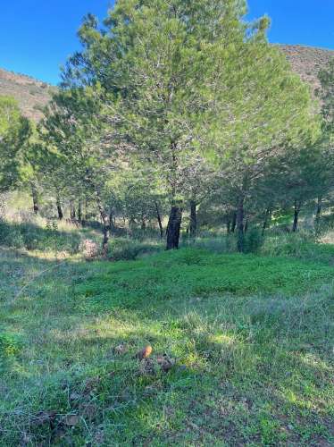 TERRENO COM 59.680 M² - COM POSSIBILIDADE DE CONSTRUÇÃO - HABITAÇÃO E/OU TURISMO - PRÓXIMO A CORTE VELHA - ODELEITE - CASTRO MARIM - ALGARVE