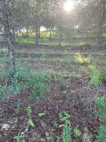 TERRENO COM 59.680 M² - COM POSSIBILIDADE DE CONSTRUÇÃO - HABITAÇÃO E/OU TURISMO - PRÓXIMO A CORTE VELHA - ODELEITE - CASTRO MARIM - ALGARVE