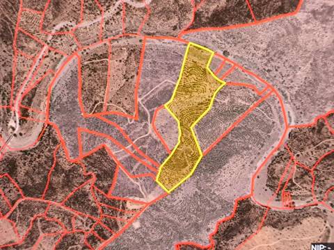 TERRENO COM 59.680 M² - COM POSSIBILIDADE DE CONSTRUÇÃO - HABITAÇÃO E/OU TURISMO - PRÓXIMO A CORTE VELHA - ODELEITE - CASTRO MARIM - ALGARVE