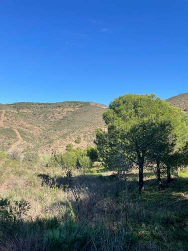 TERRENO COM 59.680 M² - COM POSSIBILIDADE DE CONSTRUÇÃO - HABITAÇÃO E/OU TURISMO - PRÓXIMO A CORTE VELHA - ODELEITE - CASTRO MARIM - ALGARVE