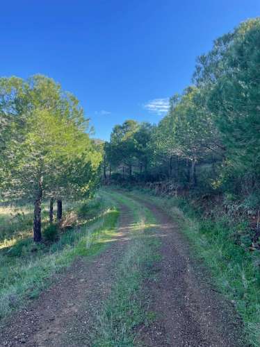 TERRENO COM 59.680 M² - COM POSSIBILIDADE DE CONSTRUÇÃO - HABITAÇÃO E/OU TURISMO - PRÓXIMO A CORTE VELHA - ODELEITE - CASTRO MARIM - ALGARVE