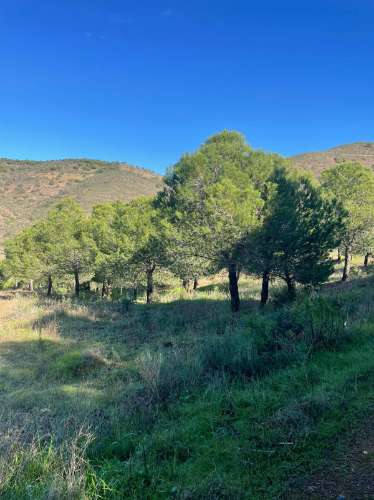 TERRENO COM 59.680 M² - COM POSSIBILIDADE DE CONSTRUÇÃO - HABITAÇÃO E/OU TURISMO - PRÓXIMO A CORTE VELHA - ODELEITE - CASTRO MARIM - ALGARVE