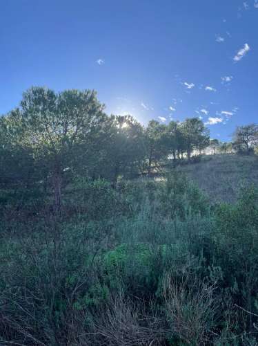 TERRENO COM 59.680 M² - COM POSSIBILIDADE DE CONSTRUÇÃO - HABITAÇÃO E/OU TURISMO - PRÓXIMO A CORTE VELHA - ODELEITE - CASTRO MARIM - ALGARVE