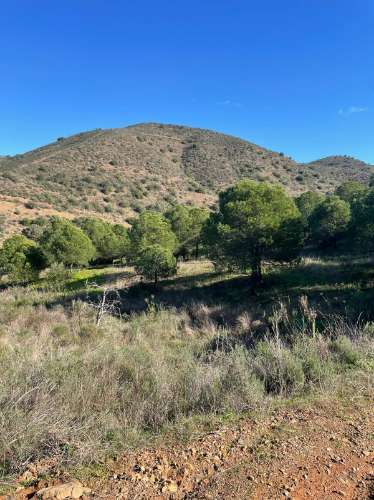 TERRENO COM 59.680 M² - COM POSSIBILIDADE DE CONSTRUÇÃO - HABITAÇÃO E/OU TURISMO - PRÓXIMO A CORTE VELHA - ODELEITE - CASTRO MARIM - ALGARVE