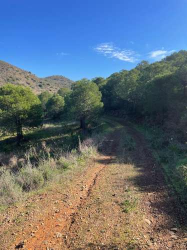 TERRENO COM 59.680 M² - COM POSSIBILIDADE DE CONSTRUÇÃO - HABITAÇÃO E/OU TURISMO - PRÓXIMO A CORTE VELHA - ODELEITE - CASTRO MARIM - ALGARVE