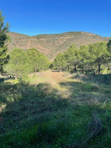 TERRENO COM 59.680 M² - COM POSSIBILIDADE DE CONSTRUÇÃO - HABITAÇÃO E/OU TURISMO - PRÓXIMO A CORTE VELHA - ODELEITE - CASTRO MARIM - ALGARVE