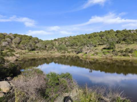 TERRENO COM 96.120 m² - COM POSSIBILIDADE DE CONSTRUÇÃO - VISTA LAGO - HABITAÇÃO E/OU TURISMO - PRÓXIMO À FOZ DE ODELEITE - CASTRO MARIM - ALGARVE