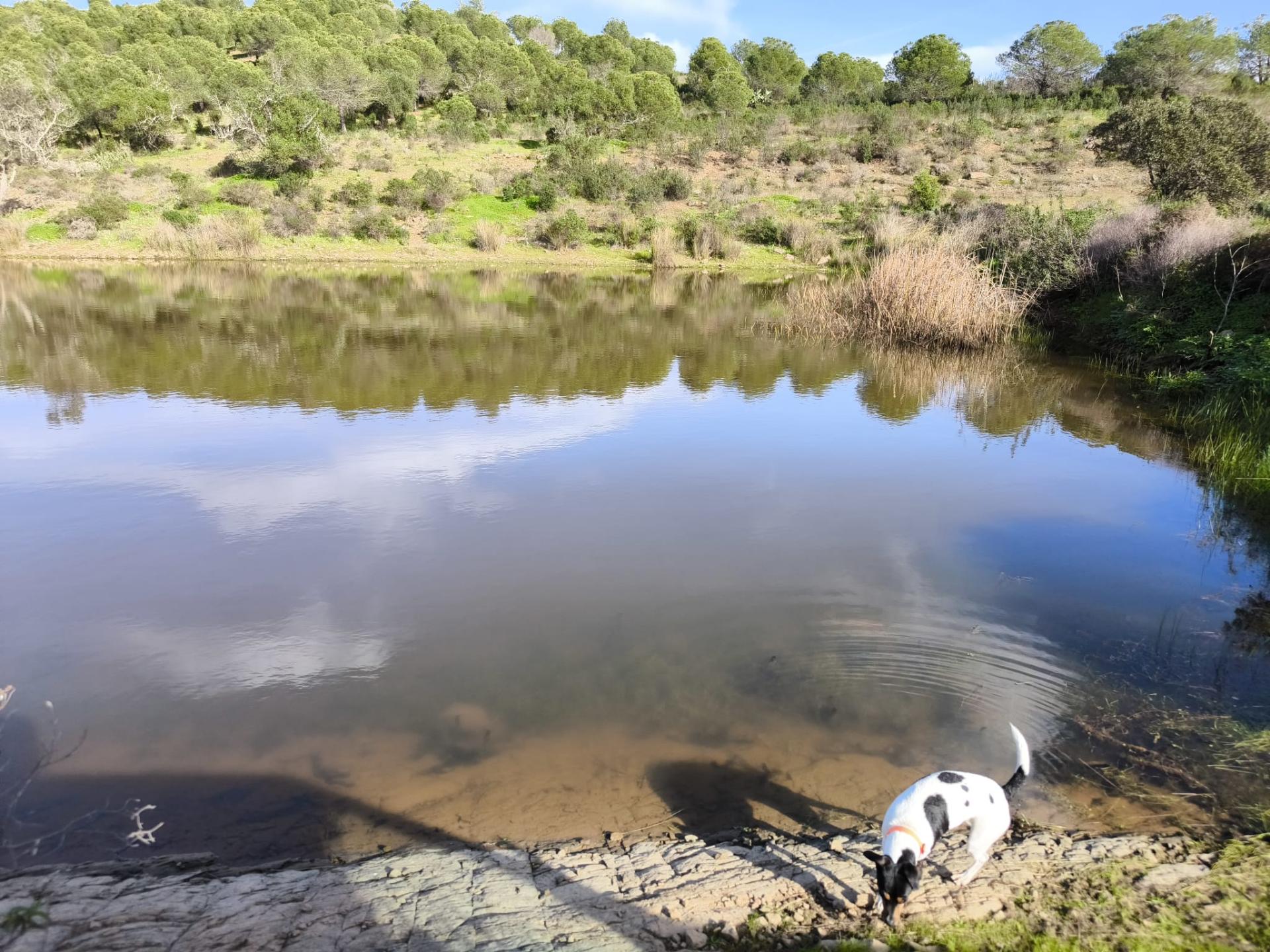 TERRENO COM 96.120 m² - COM POSSIBILIDADE DE CONSTRUÇÃO - VISTA LAGO - HABITAÇÃO E/OU TURISMO - PRÓXIMO À FOZ DE ODELEITE - CASTRO MARIM - ALGARVE