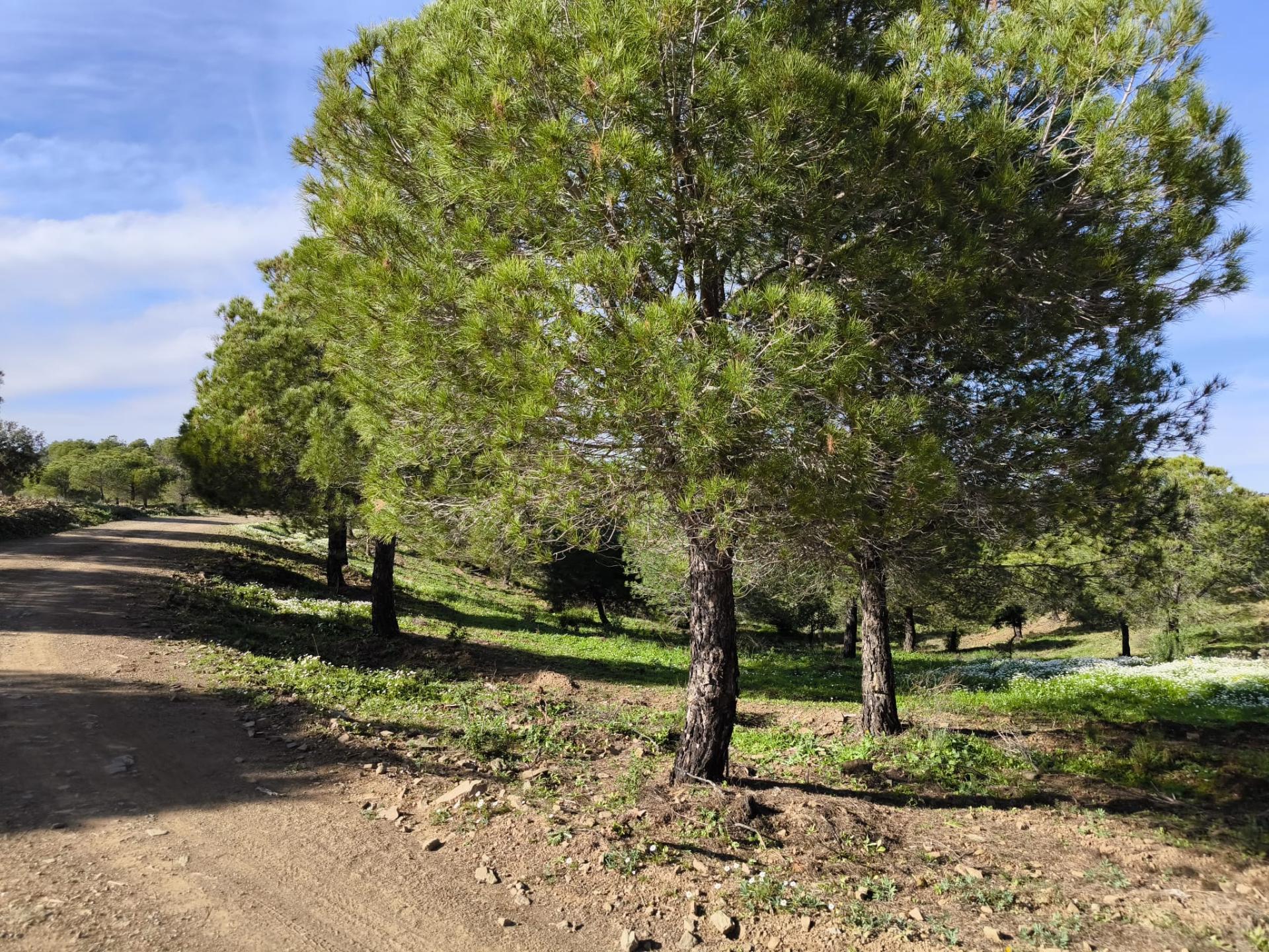 TERRENO COM 96.120 m² - COM POSSIBILIDADE DE CONSTRUÇÃO - VISTA LAGO - HABITAÇÃO E/OU TURISMO - PRÓXIMO À FOZ DE ODELEITE - CASTRO MARIM - ALGARVE