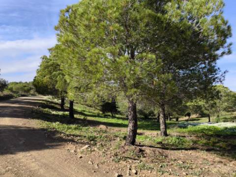 TERRENO COM 96.120 m² - COM POSSIBILIDADE DE CONSTRUÇÃO - VISTA LAGO - HABITAÇÃO E/OU TURISMO - PRÓXIMO À FOZ DE ODELEITE - CASTRO MARIM - ALGARVE