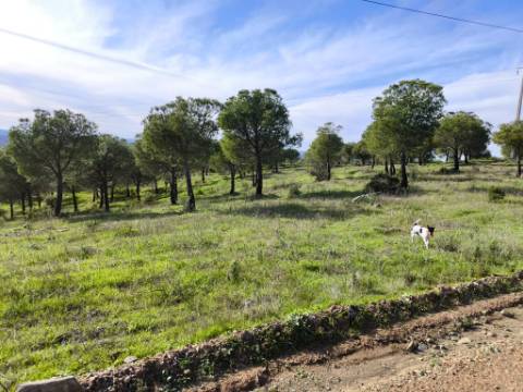 TERRENO COM 96.120 m² - COM POSSIBILIDADE DE CONSTRUÇÃO - VISTA LAGO - HABITAÇÃO E/OU TURISMO - PRÓXIMO À FOZ DE ODELEITE - CASTRO MARIM - ALGARVE