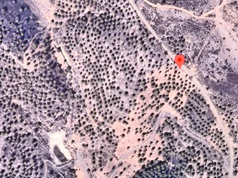 TERRENO COM 96.120 m² - COM POSSIBILIDADE DE CONSTRUÇÃO - VISTA LAGO - HABITAÇÃO E/OU TURISMO - PRÓXIMO À FOZ DE ODELEITE - CASTRO MARIM - ALGARVE