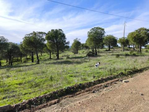 TERRENO COM 96.120 m² - COM POSSIBILIDADE DE CONSTRUÇÃO - VISTA LAGO - HABITAÇÃO E/OU TURISMO - PRÓXIMO À FOZ DE ODELEITE - CASTRO MARIM - ALGARVE