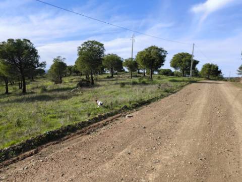 TERRENO COM 96.120 m² - COM POSSIBILIDADE DE CONSTRUÇÃO - VISTA LAGO - HABITAÇÃO E/OU TURISMO - PRÓXIMO À FOZ DE ODELEITE - CASTRO MARIM - ALGARVE