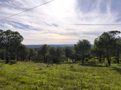 TERRENO COM 96.120 m² - COM POSSIBILIDADE DE CONSTRUÇÃO - VISTA LAGO - HABITAÇÃO E/OU TURISMO - PRÓXIMO À FOZ DE ODELEITE - CASTRO MARIM - ALGARVE