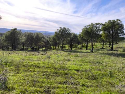 TERRENO COM 96.120 m² - COM POSSIBILIDADE DE CONSTRUÇÃO - VISTA LAGO - HABITAÇÃO E/OU TURISMO - PRÓXIMO À FOZ DE ODELEITE - CASTRO MARIM - ALGARVE