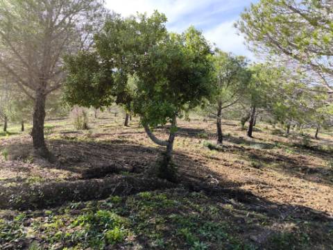 TERRENO COM 96.120 m² - COM POSSIBILIDADE DE CONSTRUÇÃO - VISTA LAGO - HABITAÇÃO E/OU TURISMO - PRÓXIMO À FOZ DE ODELEITE - CASTRO MARIM - ALGARVE