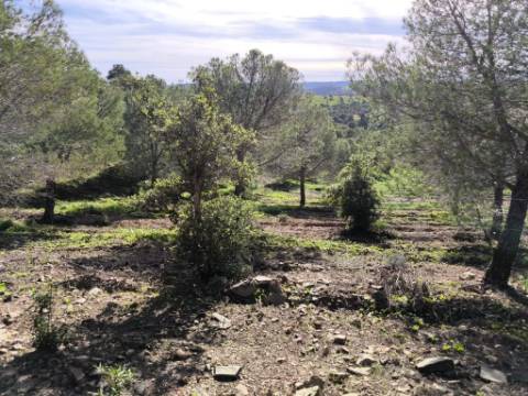 TERRENO COM 96.120 m² - COM POSSIBILIDADE DE CONSTRUÇÃO - VISTA LAGO - HABITAÇÃO E/OU TURISMO - PRÓXIMO À FOZ DE ODELEITE - CASTRO MARIM - ALGARVE