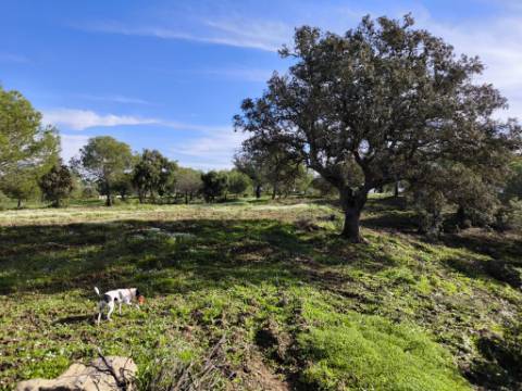 TERRENO COM 96.120 m² - COM POSSIBILIDADE DE CONSTRUÇÃO - VISTA LAGO - HABITAÇÃO E/OU TURISMO - PRÓXIMO À FOZ DE ODELEITE - CASTRO MARIM - ALGARVE