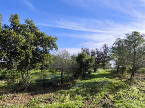 TERRENO COM 96.120 m² - COM POSSIBILIDADE DE CONSTRUÇÃO - VISTA LAGO - HABITAÇÃO E/OU TURISMO - PRÓXIMO À FOZ DE ODELEITE - CASTRO MARIM - ALGARVE