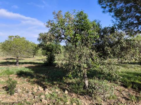 TERRENO COM 96.120 m² - COM POSSIBILIDADE DE CONSTRUÇÃO - VISTA LAGO - HABITAÇÃO E/OU TURISMO - PRÓXIMO À FOZ DE ODELEITE - CASTRO MARIM - ALGARVE