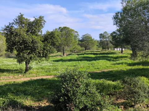 TERRENO COM 96.120 m² - COM POSSIBILIDADE DE CONSTRUÇÃO - VISTA LAGO - HABITAÇÃO E/OU TURISMO - PRÓXIMO À FOZ DE ODELEITE - CASTRO MARIM - ALGARVE
